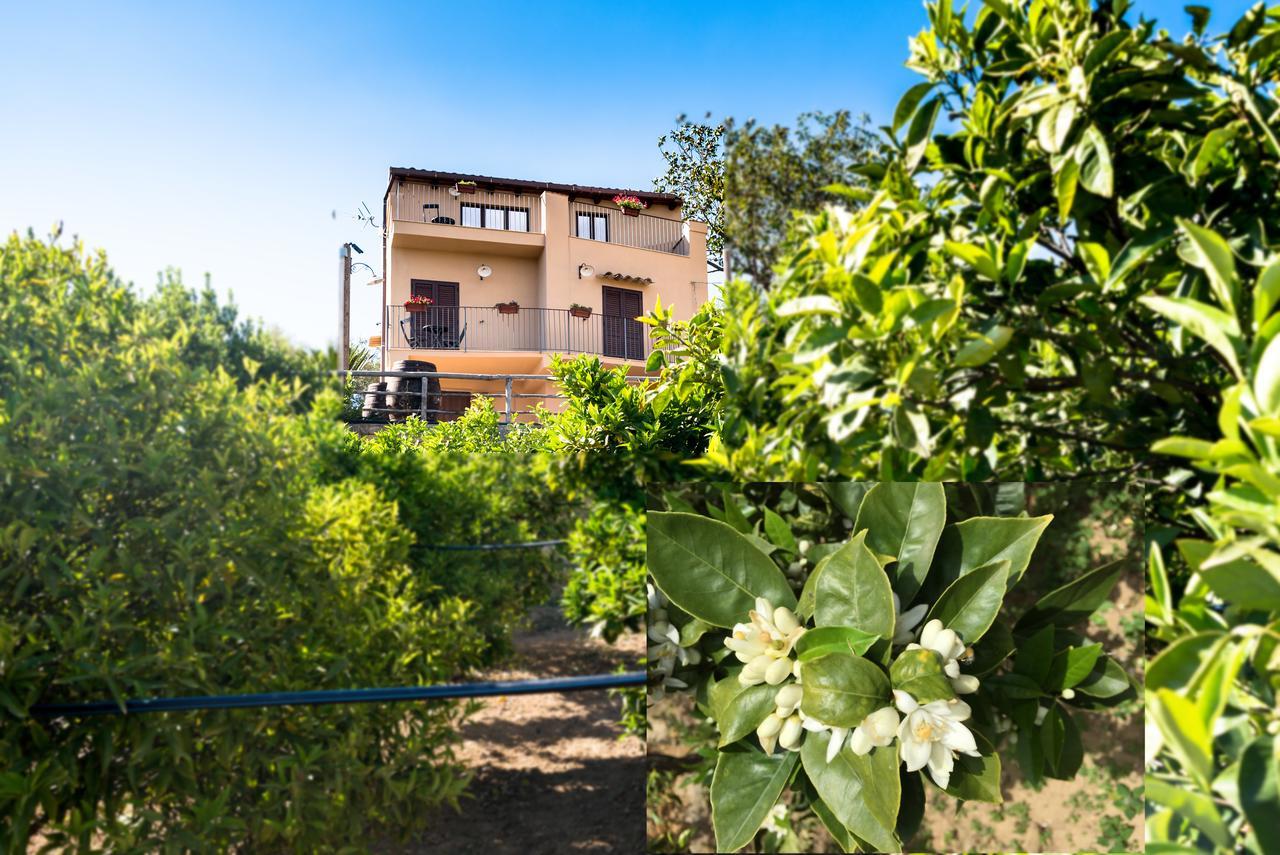 Bed and Breakfast Parco Dei Templi Агридженто Экстерьер фото